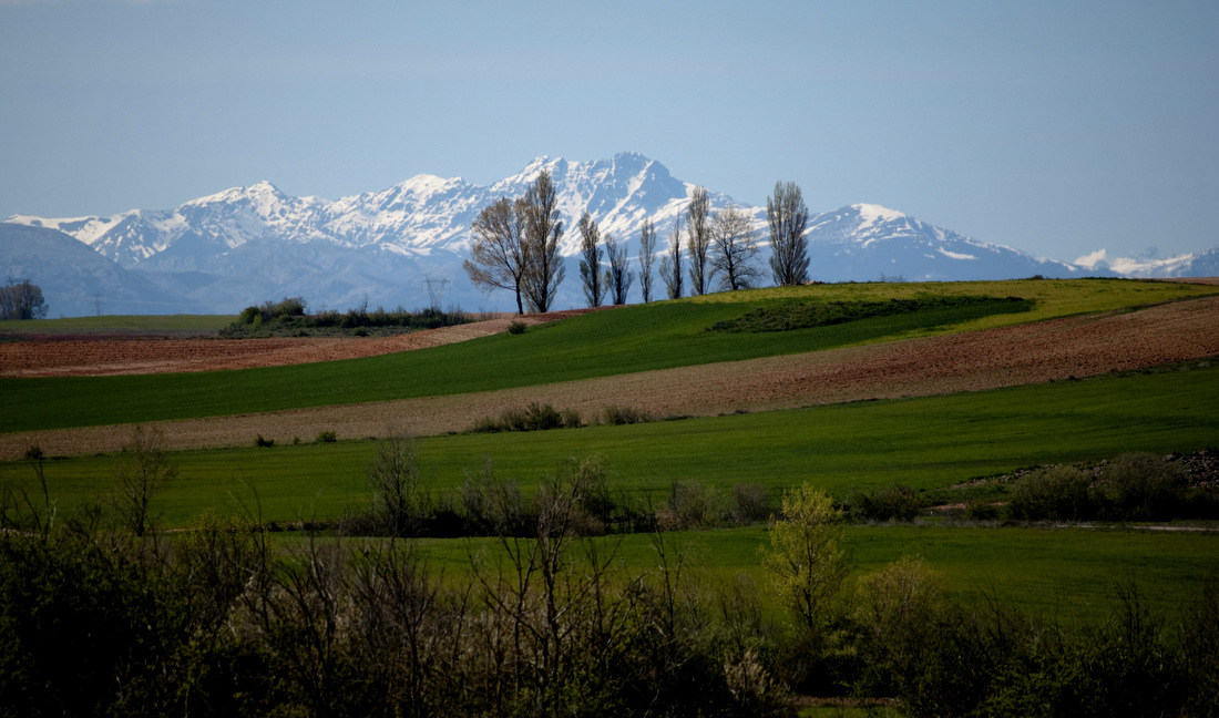 Montes de Cervera · Palencia, en el recorrido del Camino Olvidado