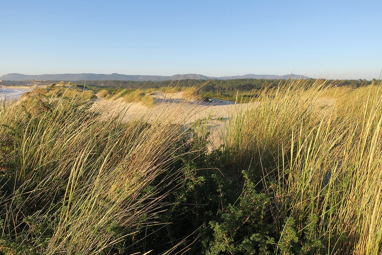 Dunas de Esposende · Portugal, en el recorrido del Camino Portugués de la Costa