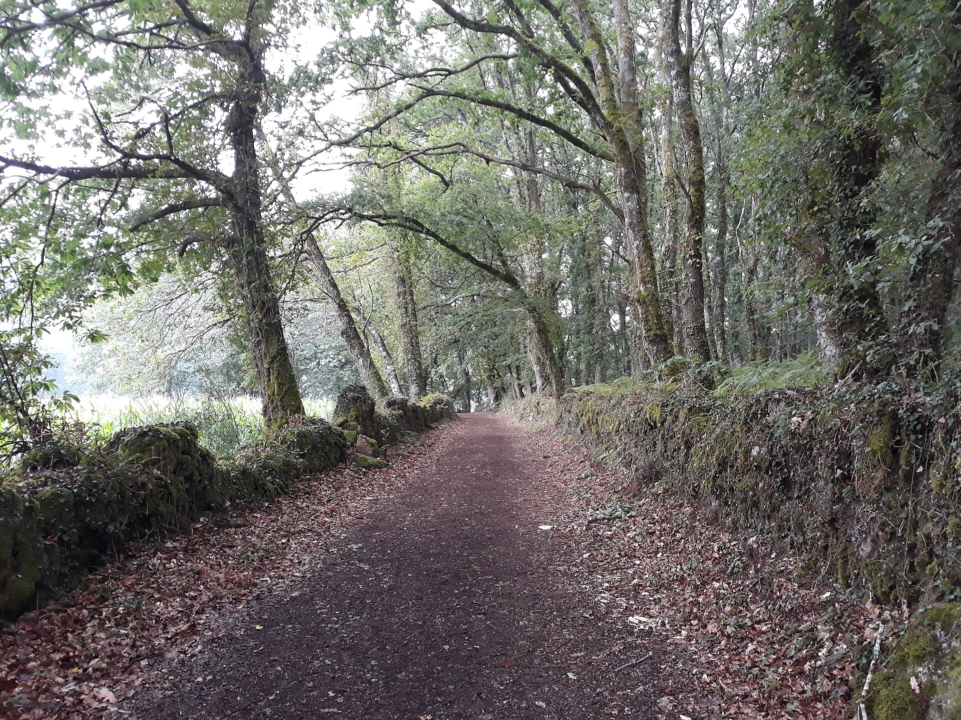 A Penalonga · Asturias, en el recorrido del Camino Primitivo