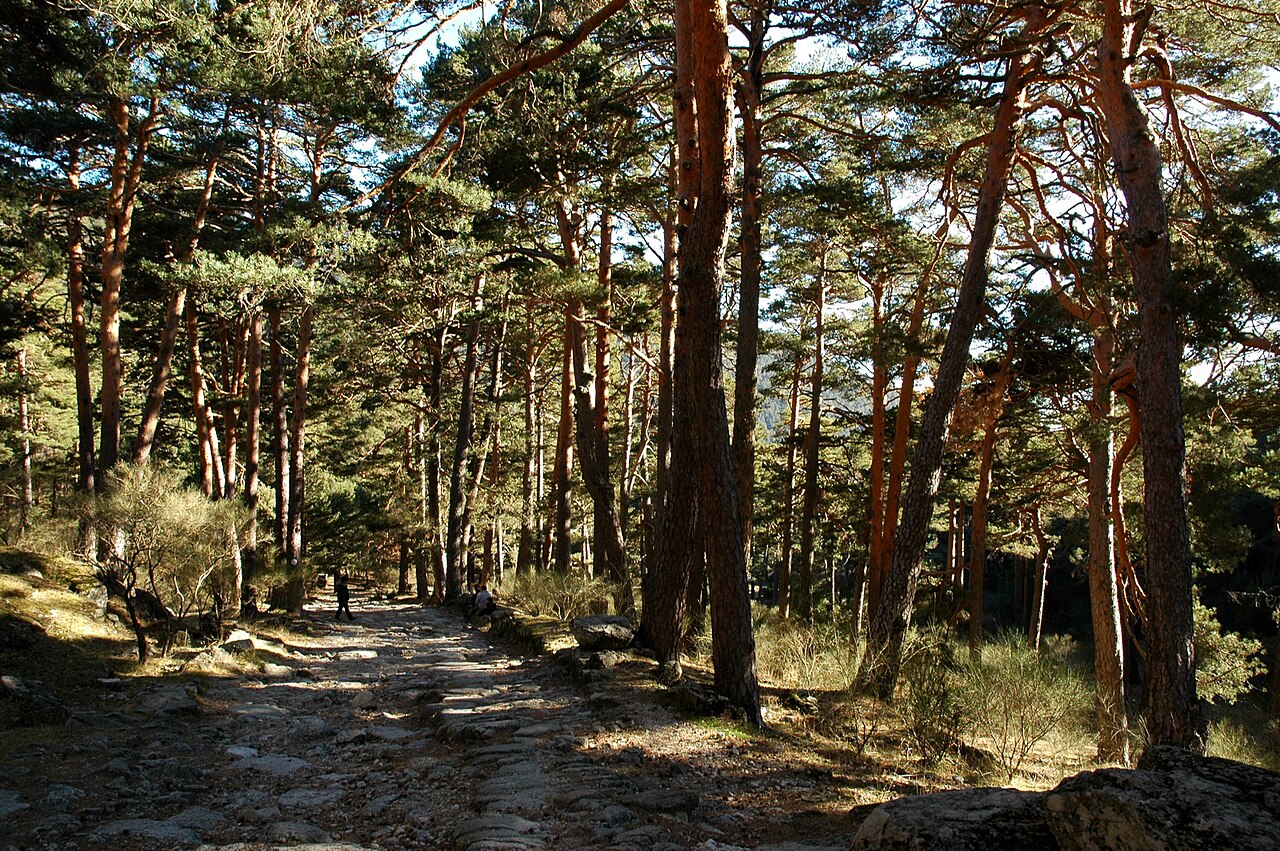 Calzada de la Fuenfría · Cercedilla, en el recorrido del Camino de Madrid